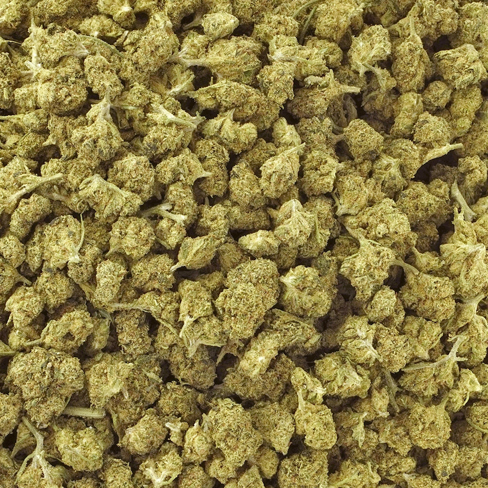 Bulk Flower - Animal Tsunami - Smalls