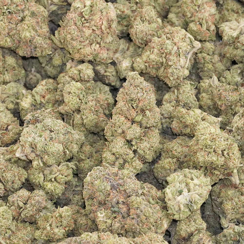 Apple Fritter