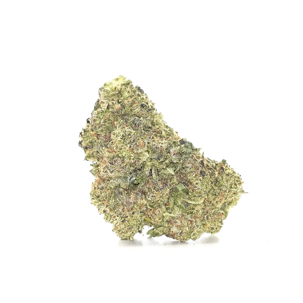 Apple Fritter