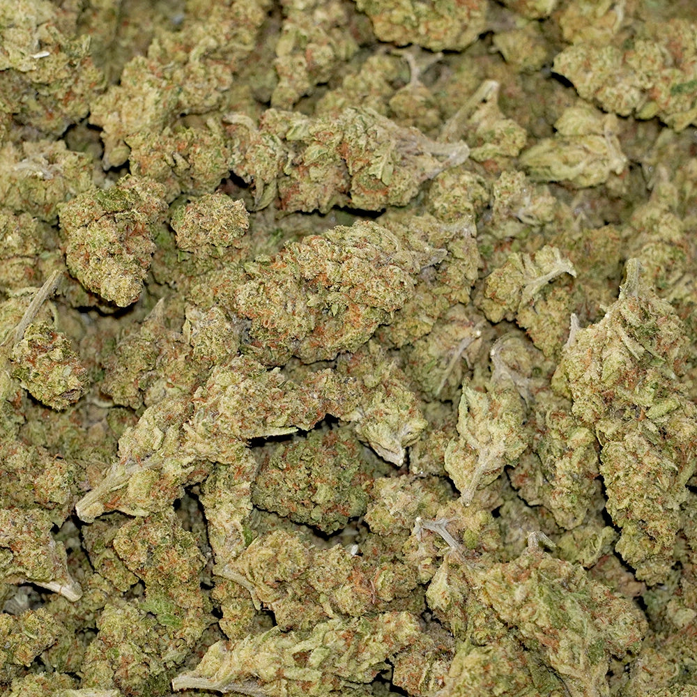 Apricot