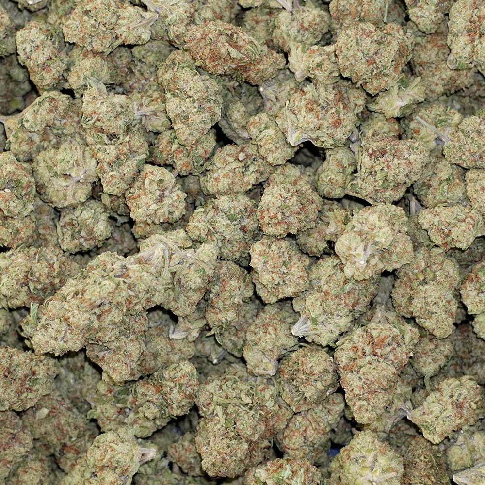 Blueberry Muffin