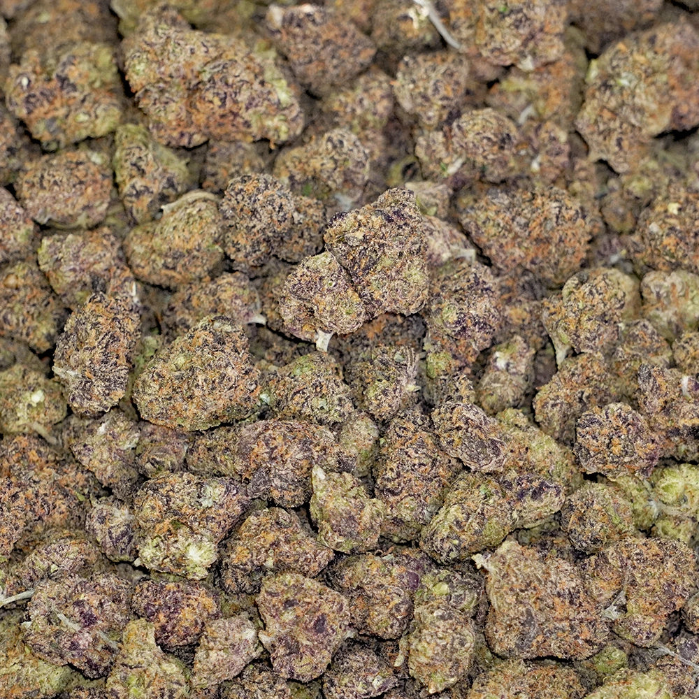 Candy Runtz - Seeded