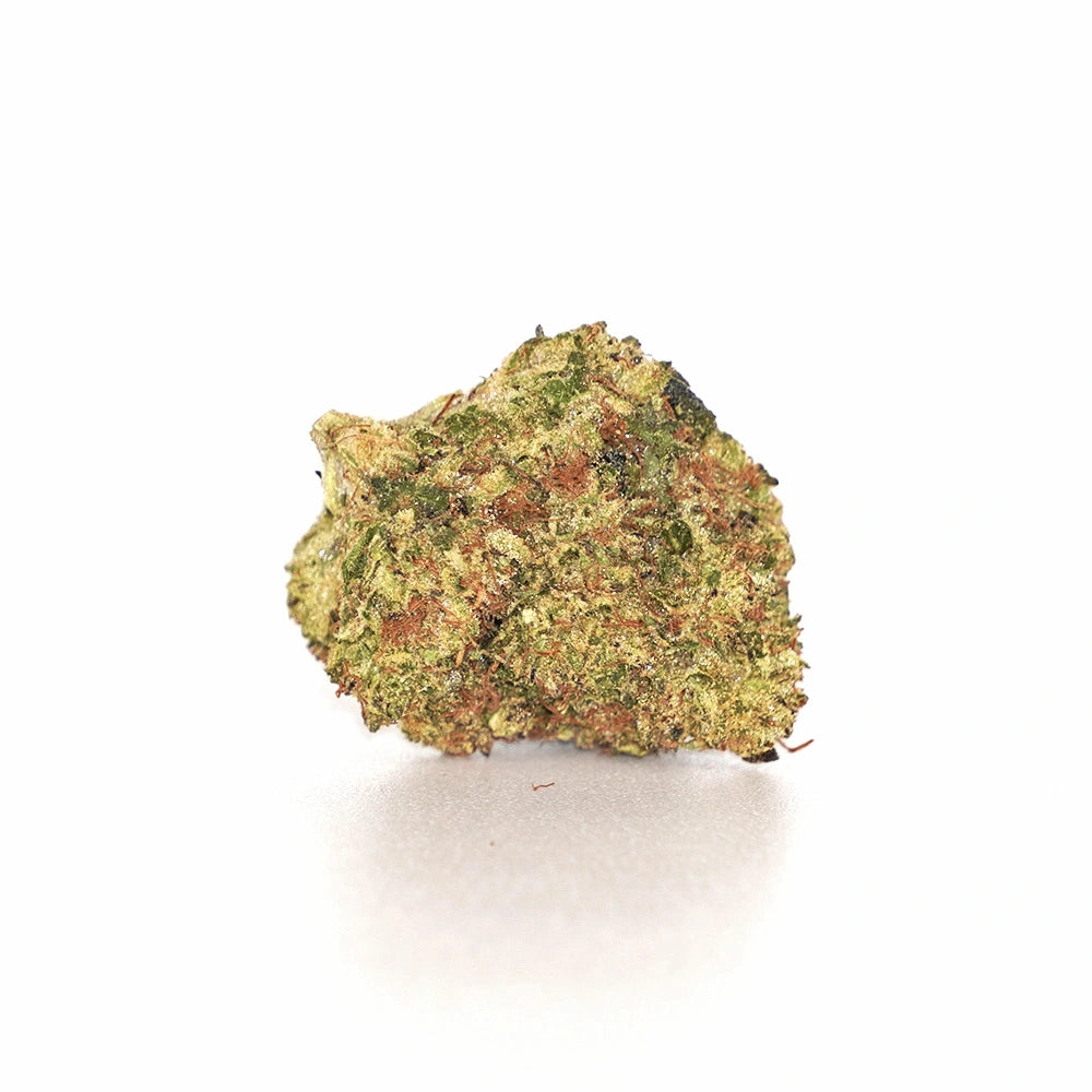 Coconut Dream
