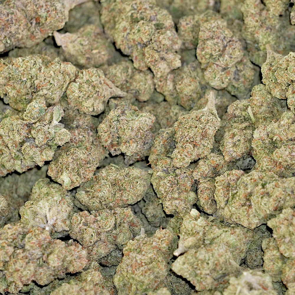 La Bomba