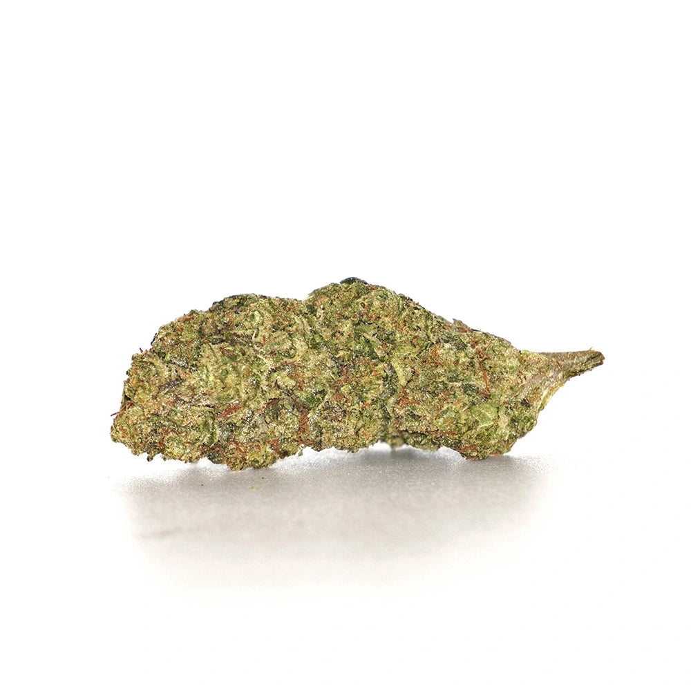 La Bomba