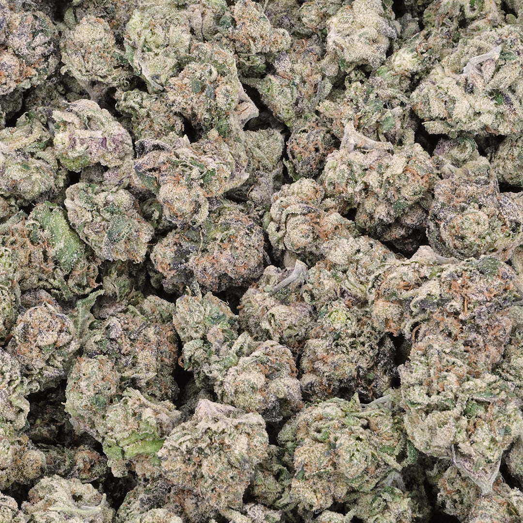 Lemon Cherry Gelato