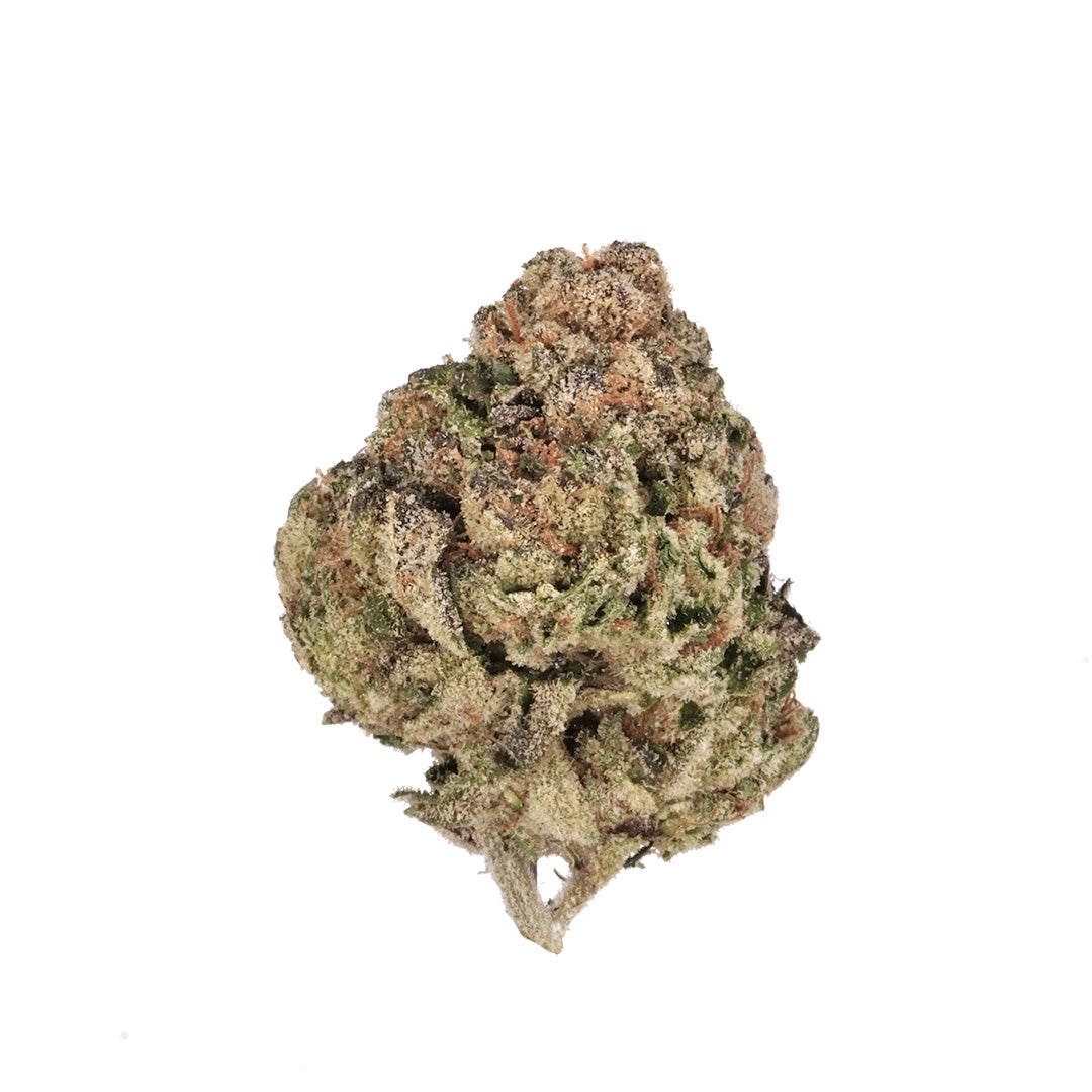 Lemon Cherry Gelato
