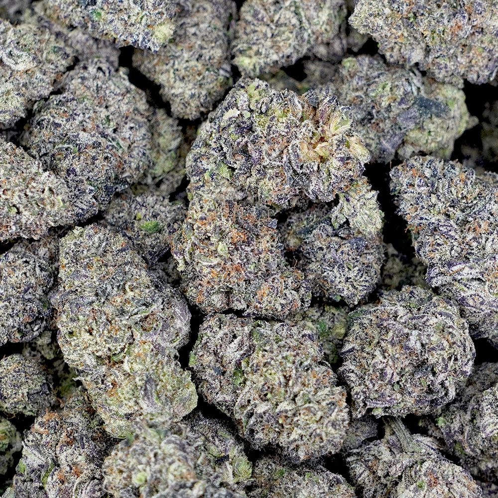 Purple Ferrari
