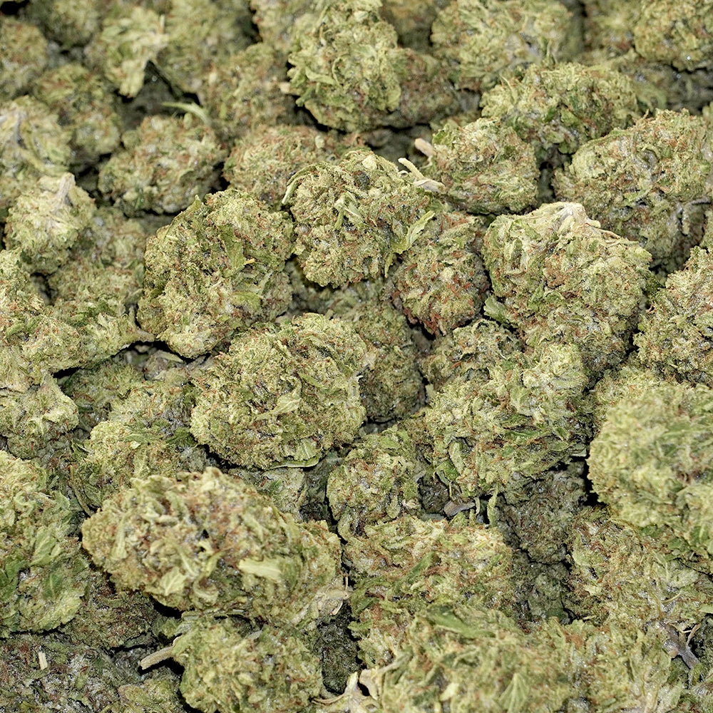 Tangie Jack