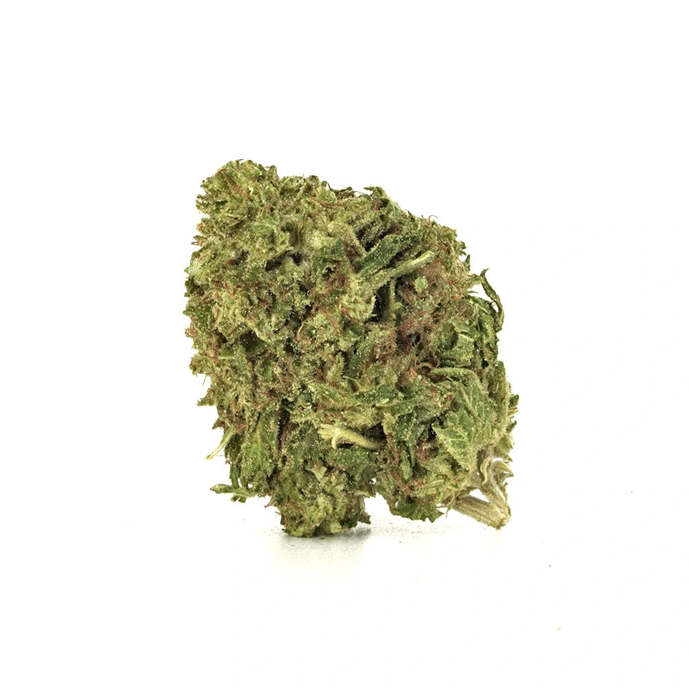 Tangie Jack