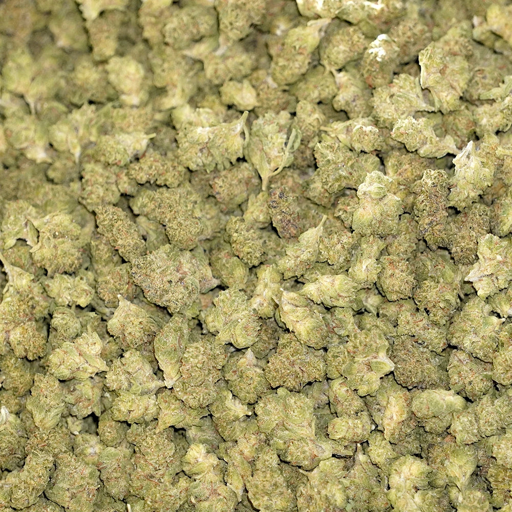 Bulk Flower - Tropicanna Banana - Smalls