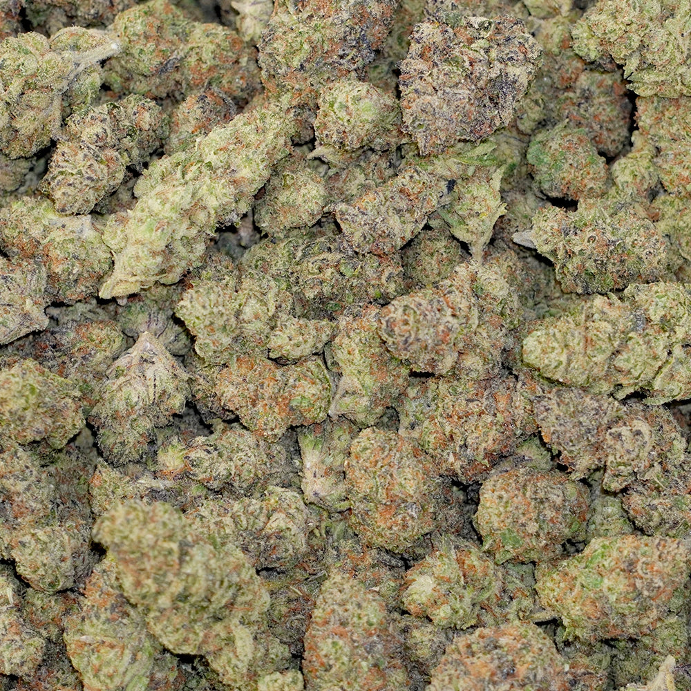 Wedding Glue