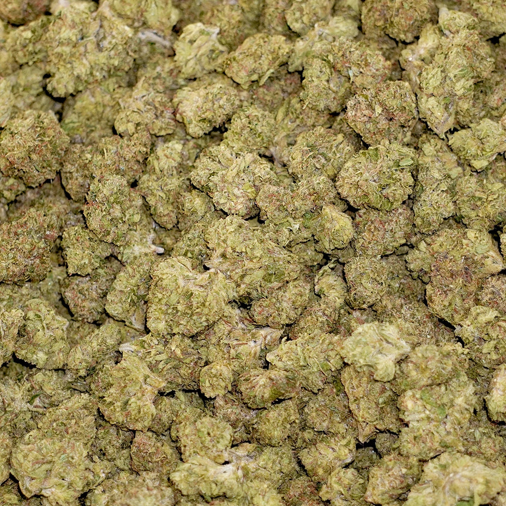 White Skunk