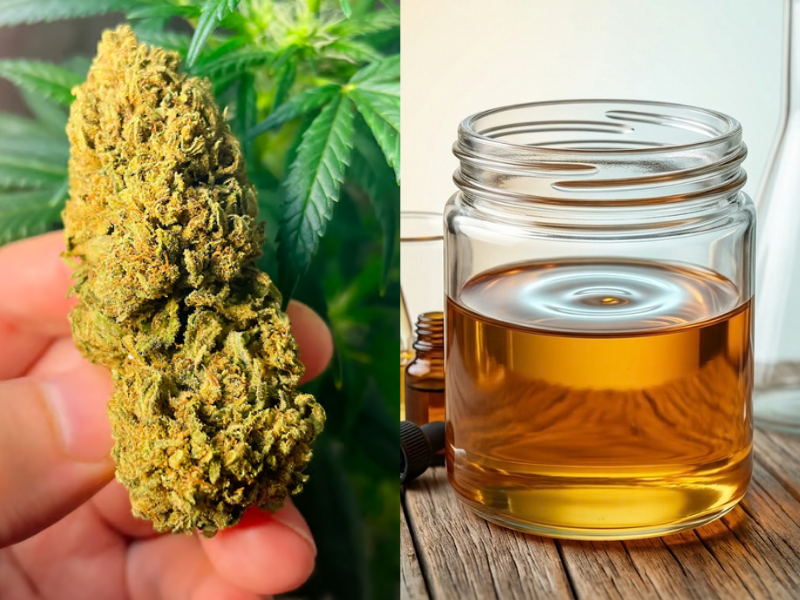 THCa vs Delta 8: which is stronger?