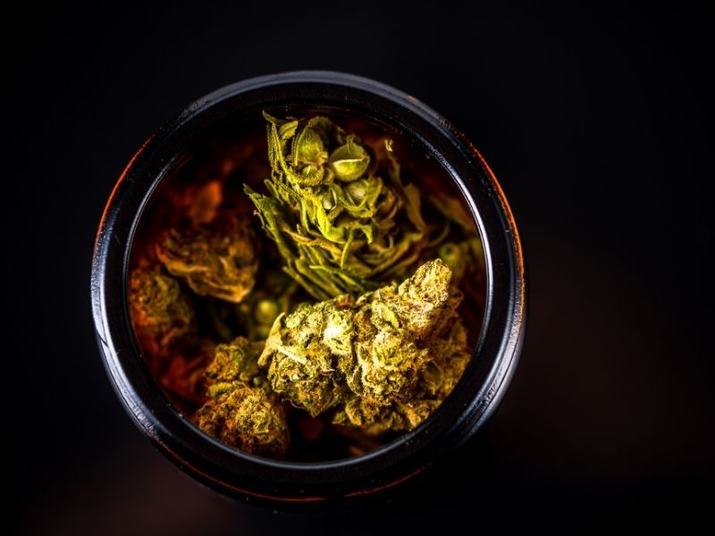 High THC vs. high terpenes: What matters more?