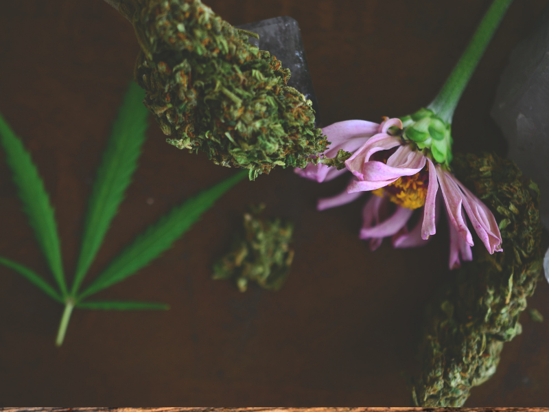 Can’t decide between flower or dabs? Here’s what matters