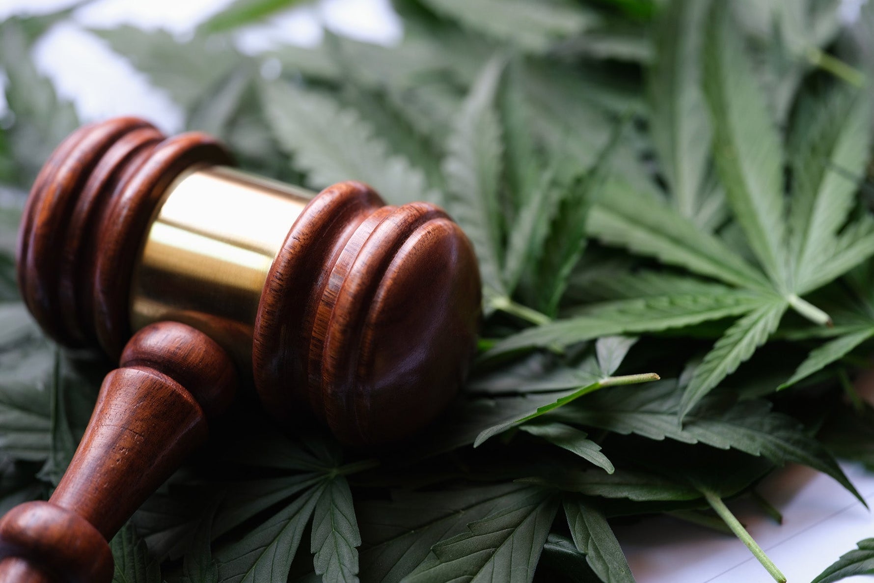 The Journey of Hemp-Derived Cannabinoid Legalization
