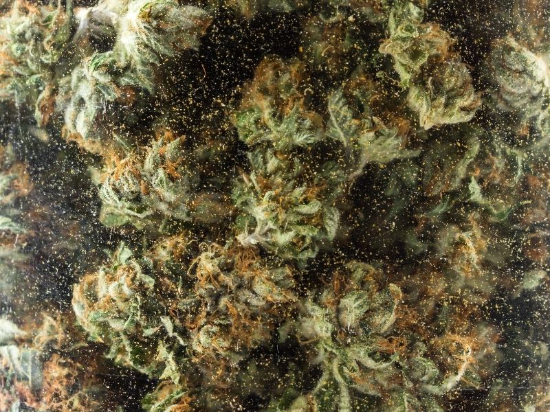 Static separated dry sift: What it is, how it’s made, and why it matte ...