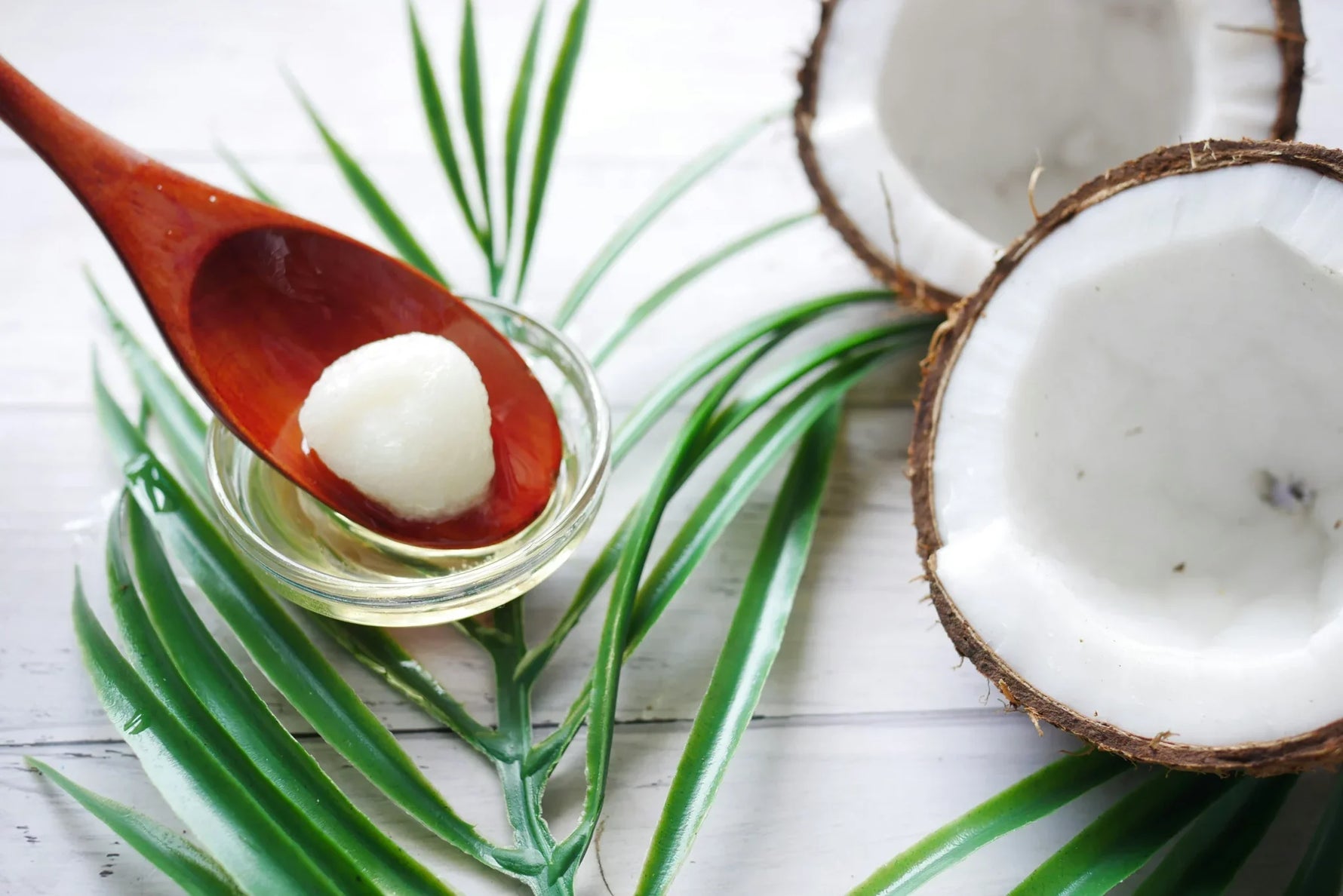 The Benefits of CBD Coconut Oil for Your Wellness Routine