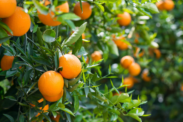 Limonene