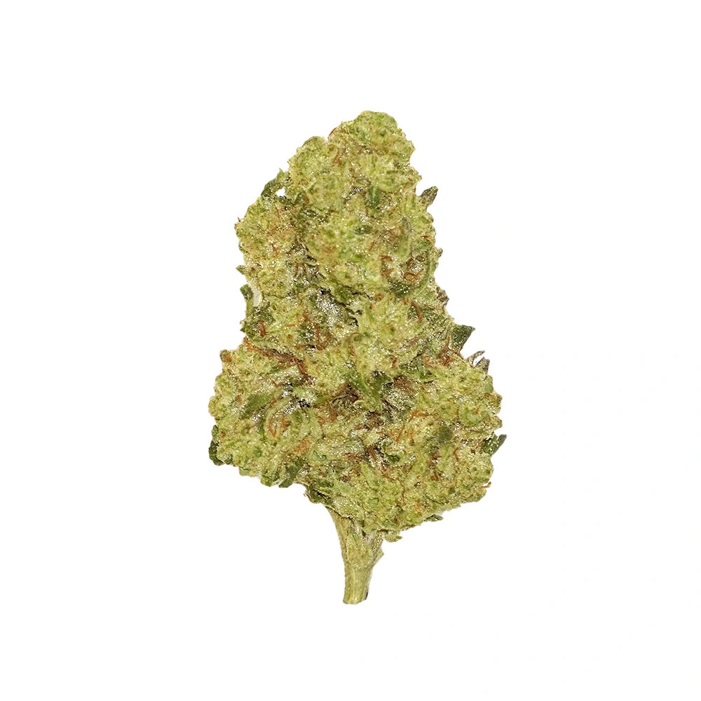 Animal Cookies