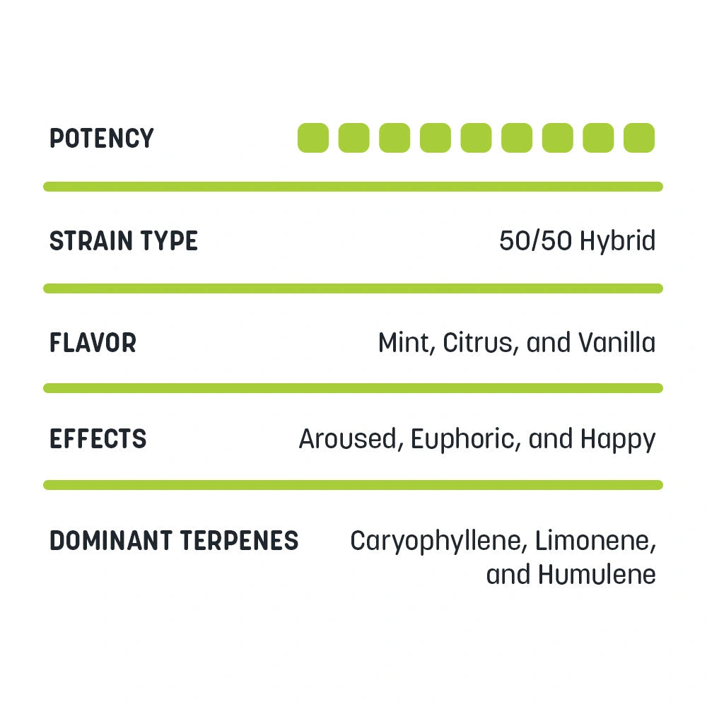 Animal Mintz x Gelato