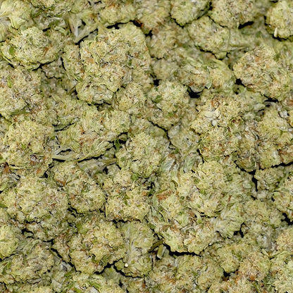 Bulk Flower - Animal Tsunami