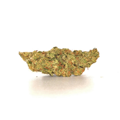 Apricot