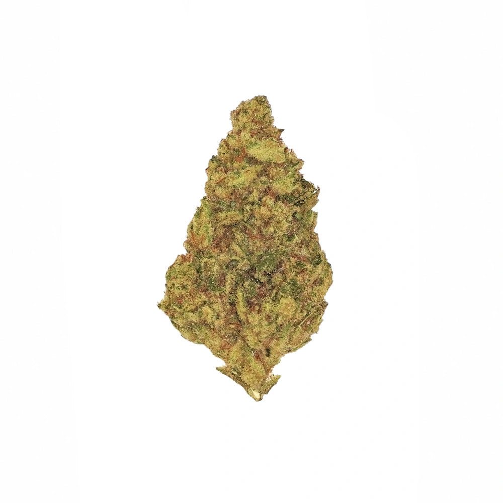 Apricot
