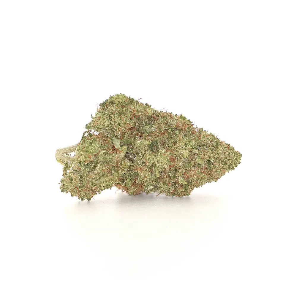 Apricot Mimosa