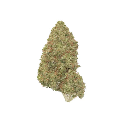 Apricot Mimosa