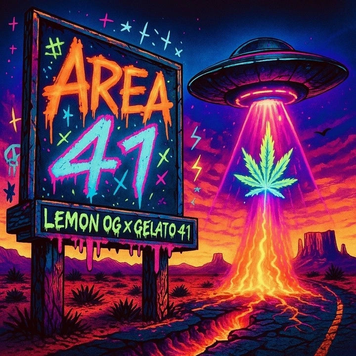 Area 41