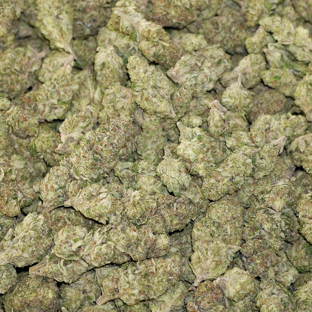 BC x WC #17