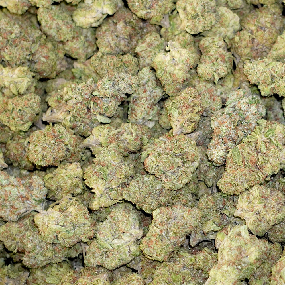 Bulk Flower - Black Maple