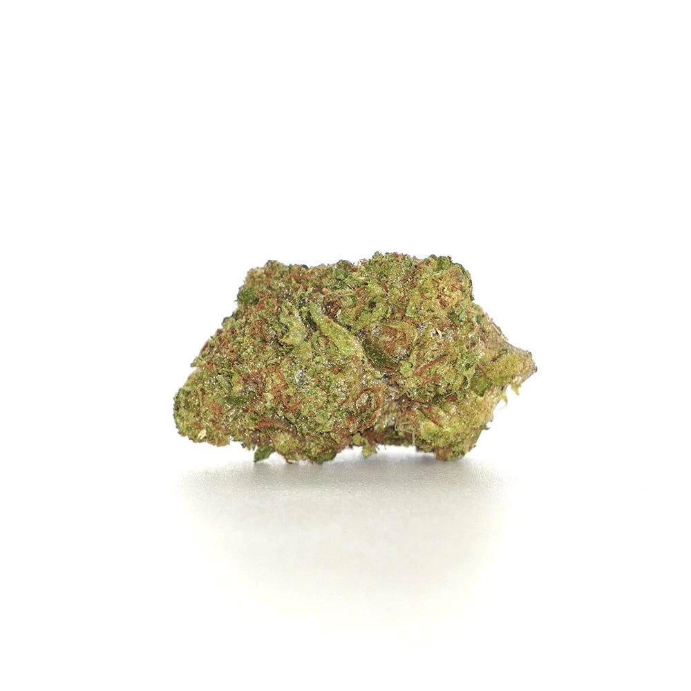 Black Maple