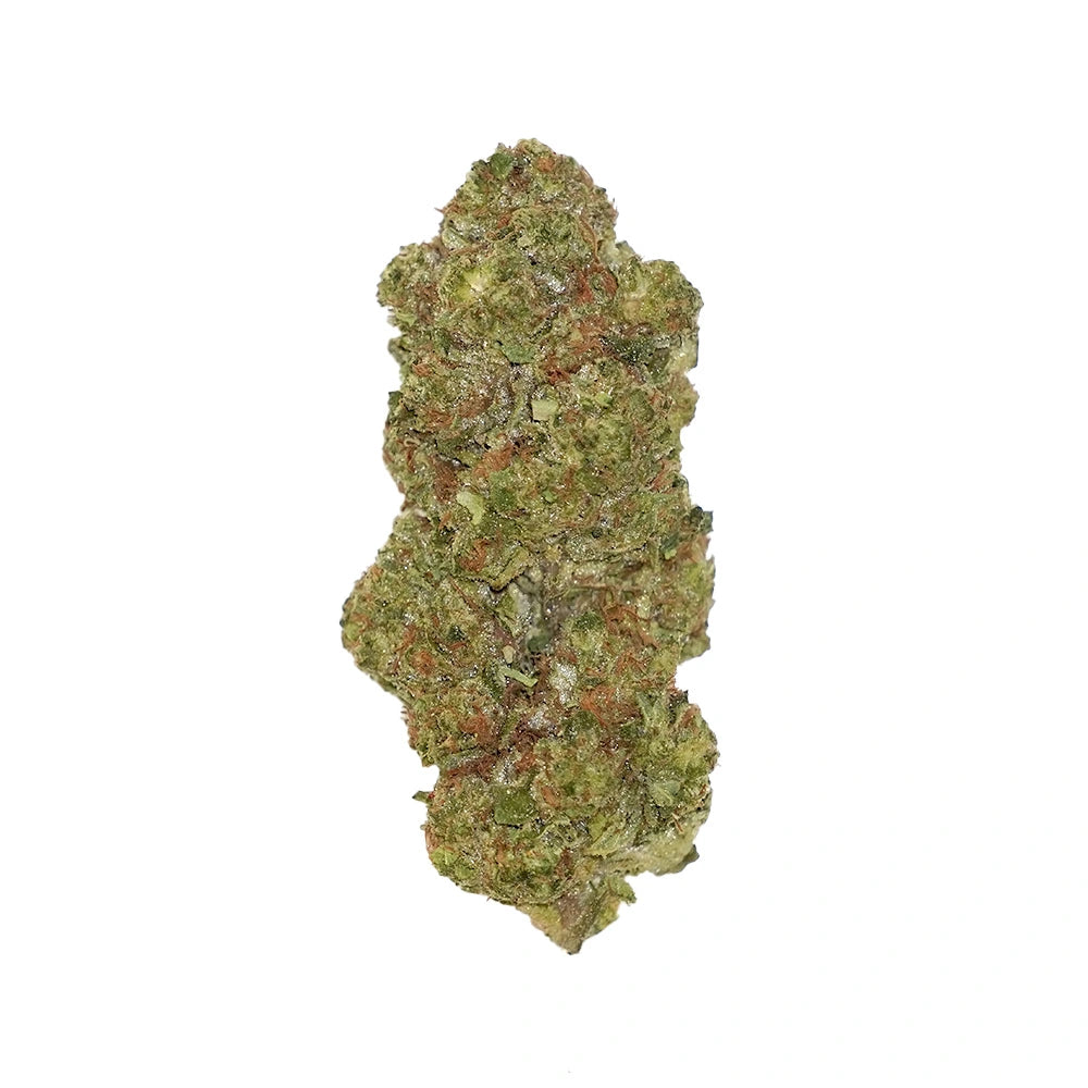 Black Maple