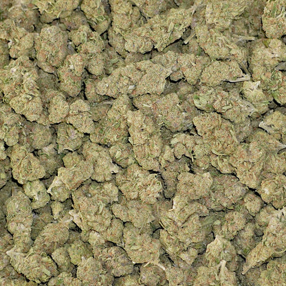 Bulk Flower - Blockberry