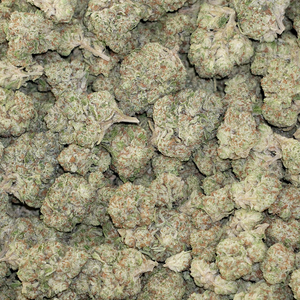 Blue Nerds