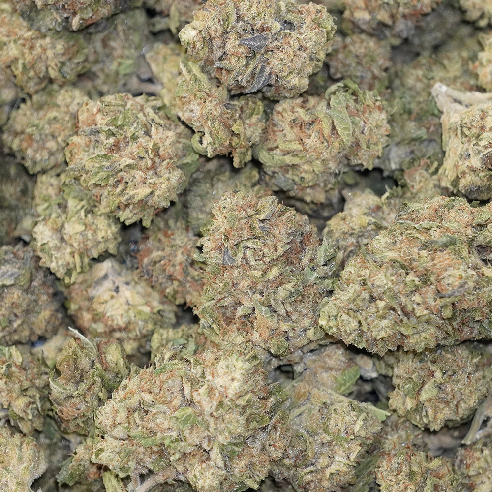 Bulk Flower - Blueberry Poundcake