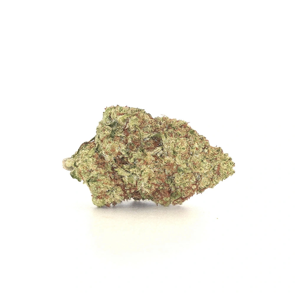 Blueberry Muffin