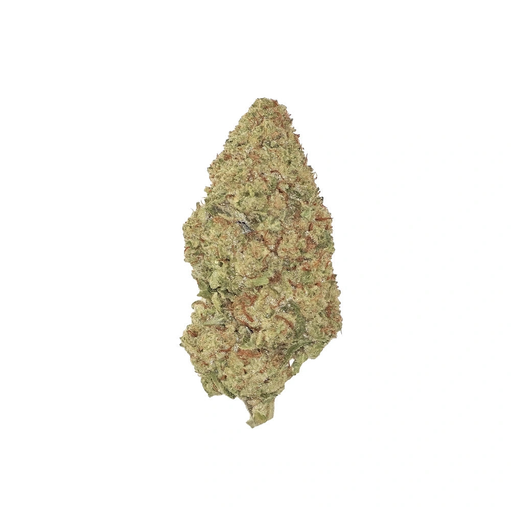 Blueberry Muffin