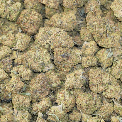 Blueberry Pie
