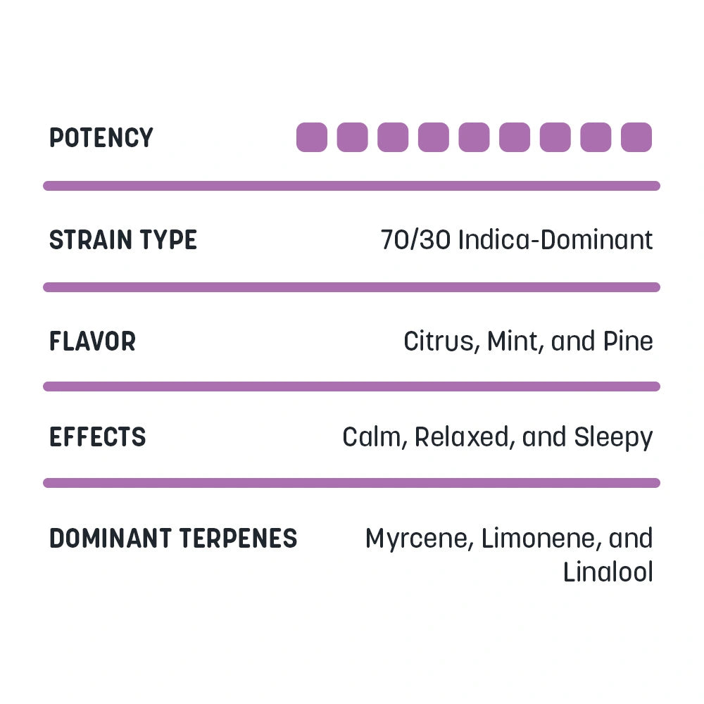 Bulk Flower - Casablanca