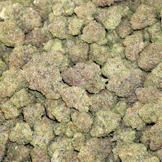 Bulk Flower - Creamery