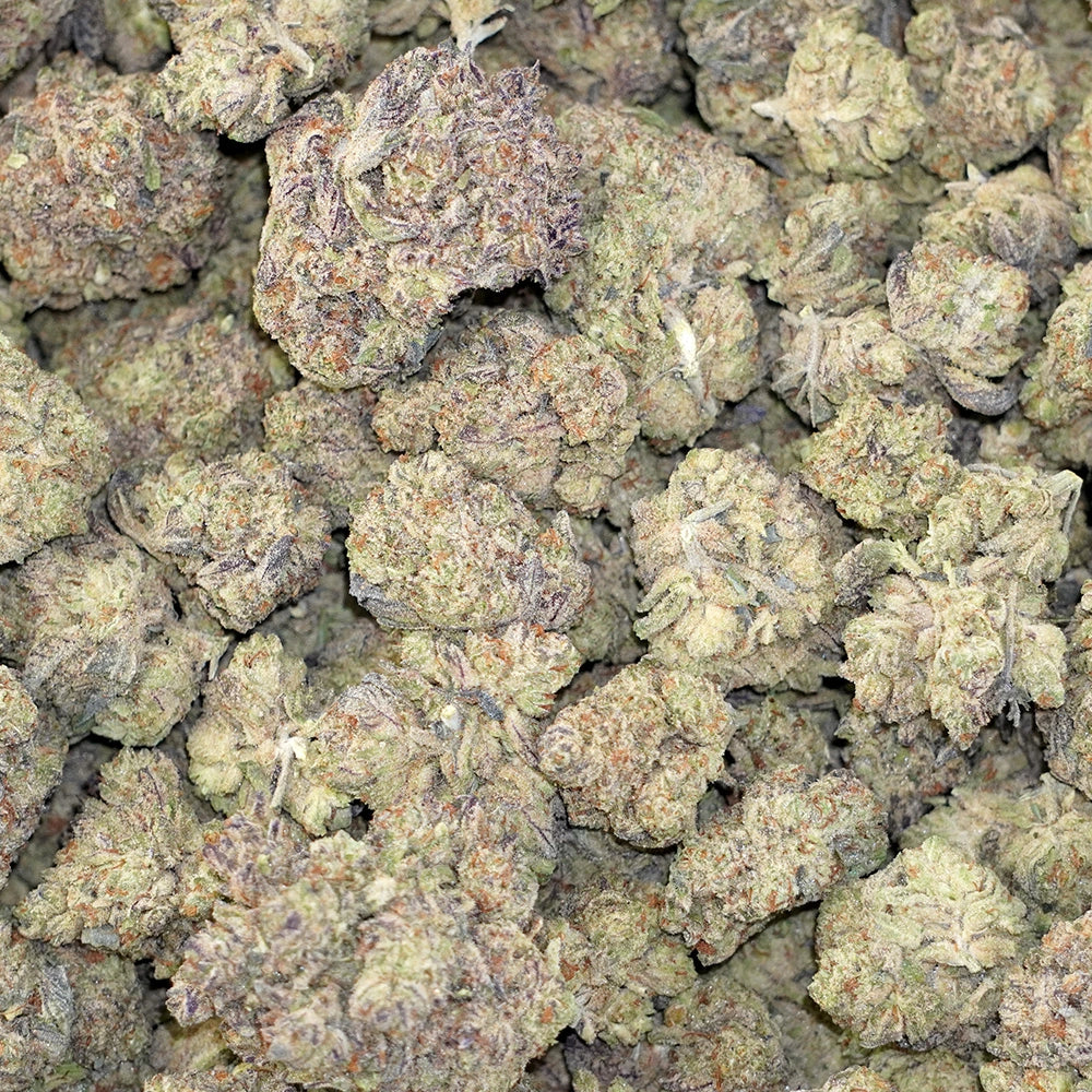Gelato King
