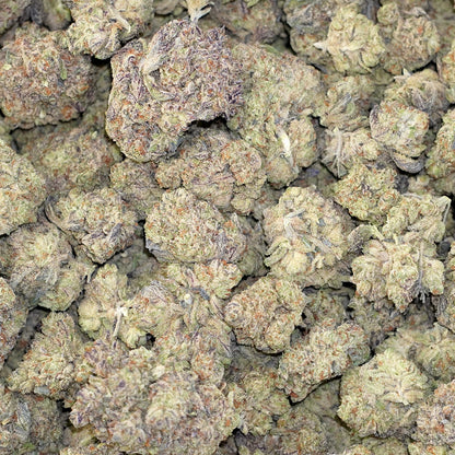 Gelato King