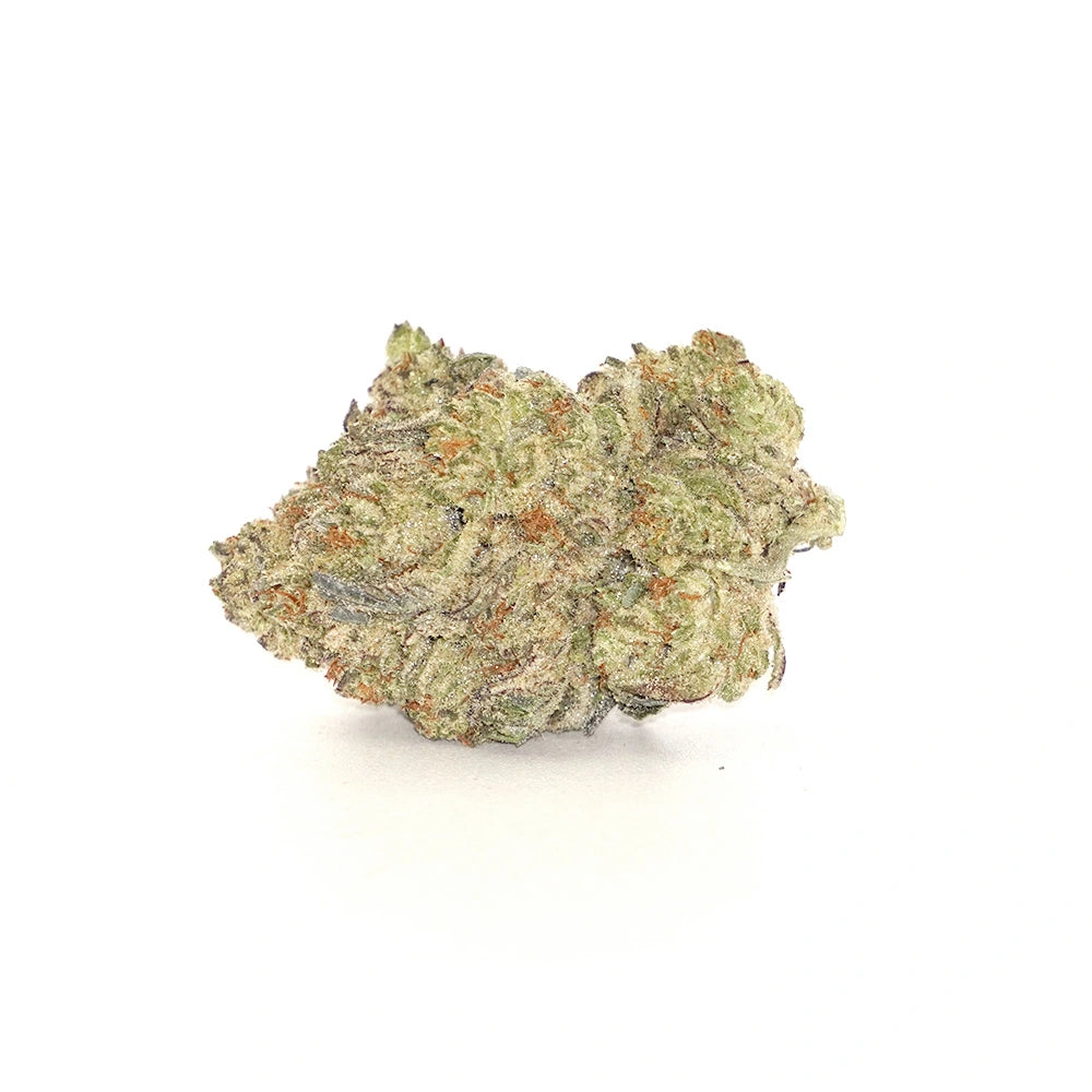 Gelato King