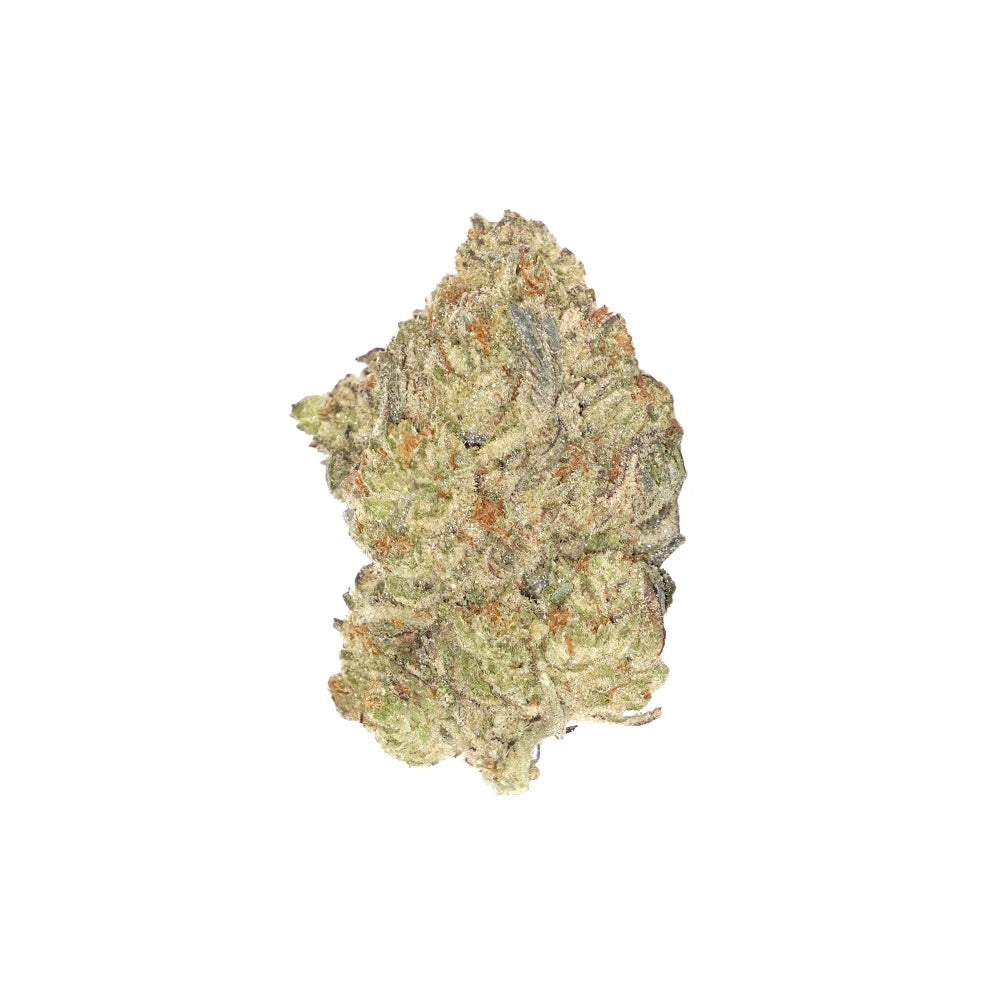 Gelato King