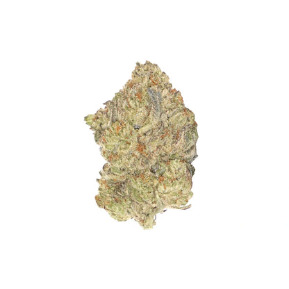 Gelato King