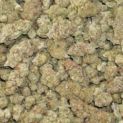 Bulk Flower - Gelatti